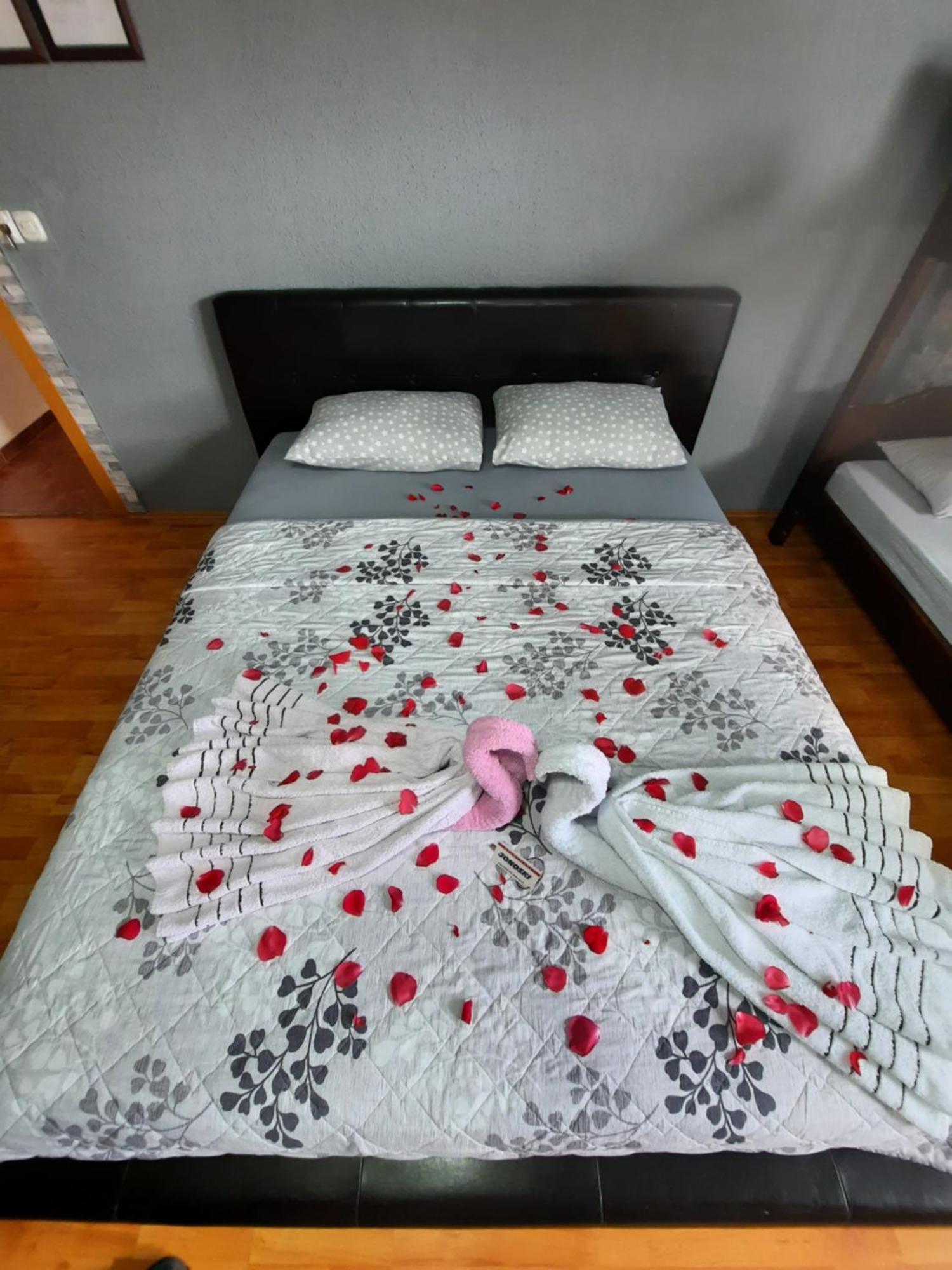 Apartment Jonoski Ohrid Ruang foto