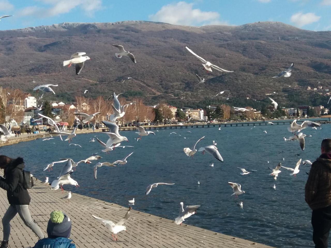 Apartment Jonoski Ohrid Bagian luar foto